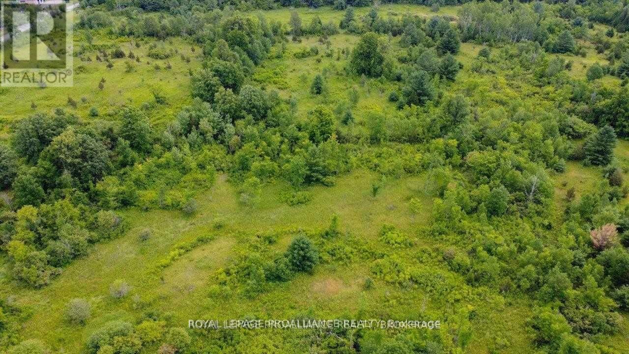 0 North Shore-Parcel C Lane, Centre Hastings, Ontario  K0K 2K0 - Photo 13 - X10417241