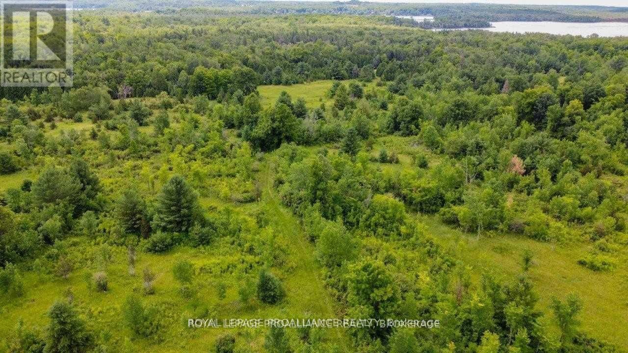 0 North Shore-Parcel C Lane, Centre Hastings, Ontario  K0K 2K0 - Photo 15 - X10417241
