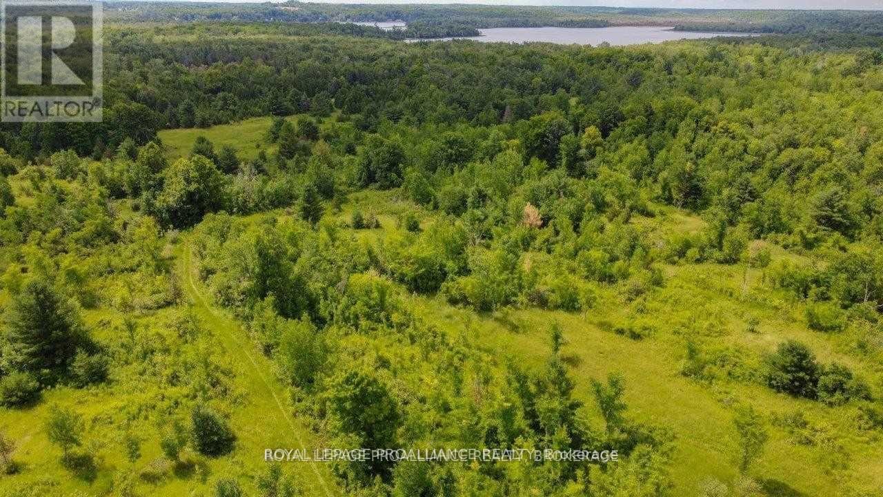 0 North Shore-Parcel C Lane, Centre Hastings, Ontario  K0K 2K0 - Photo 17 - X10417241