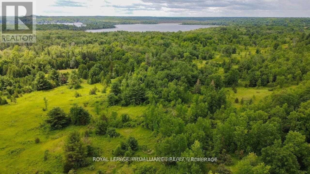 0 North Shore-Parcel C Lane, Centre Hastings, Ontario  K0K 2K0 - Photo 18 - X10417241