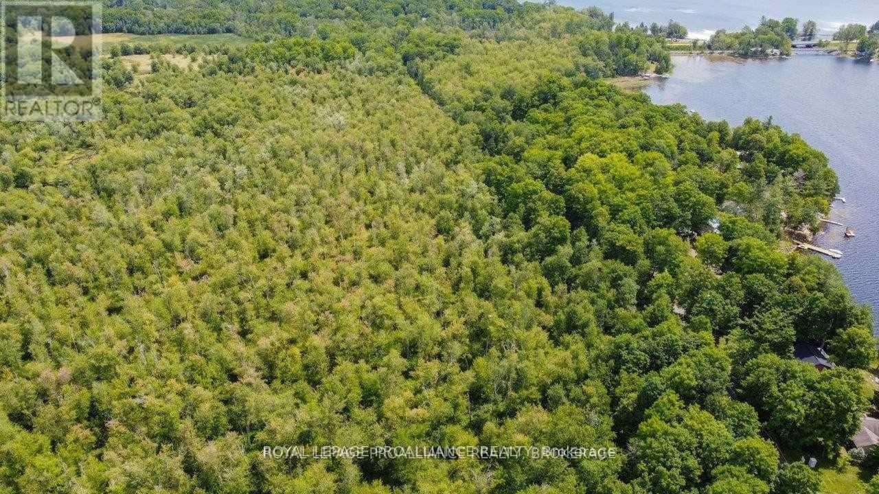 0 North Shore-Parcel C Lane, Centre Hastings, Ontario  K0K 2K0 - Photo 26 - X10417241