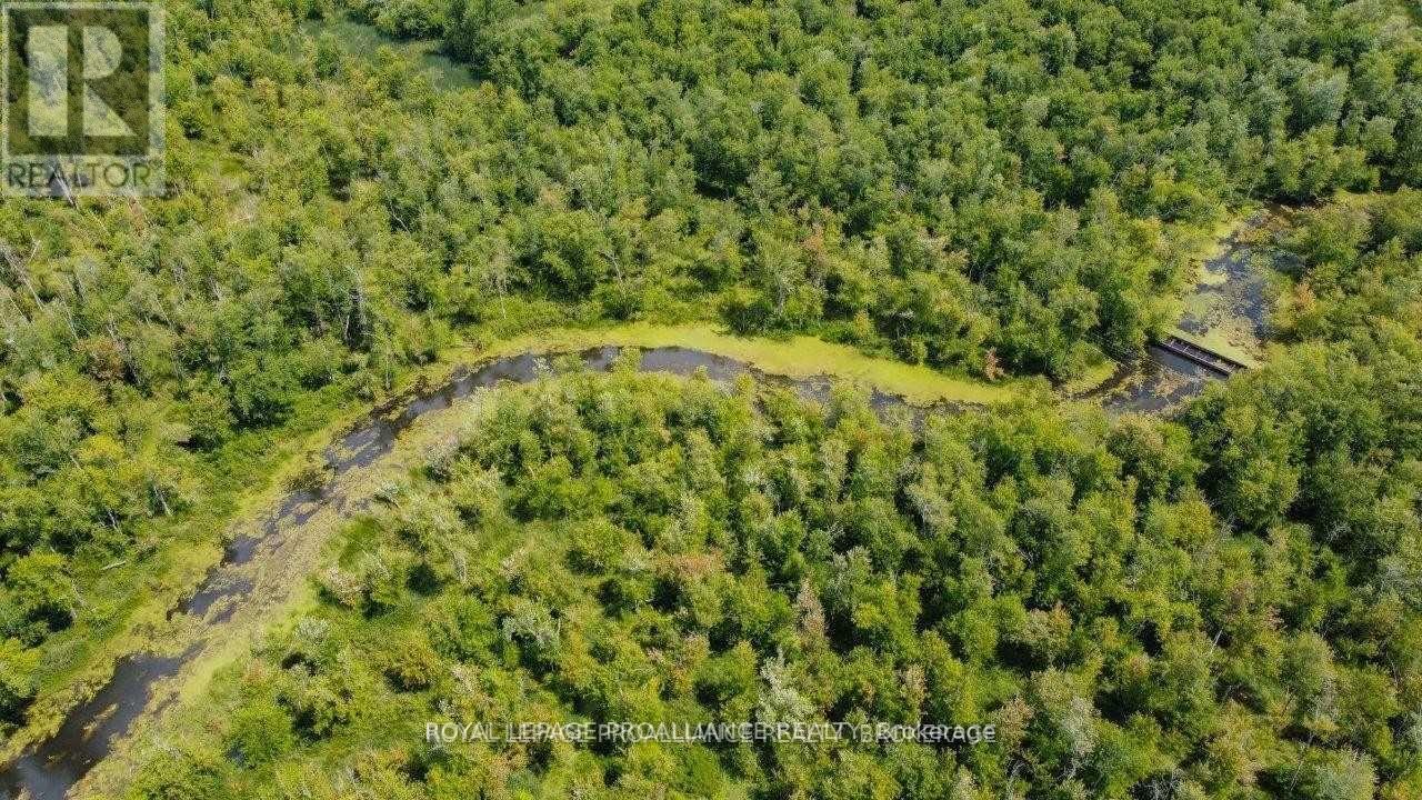 0 North Shore-Parcel C Lane, Centre Hastings, Ontario  K0K 2K0 - Photo 27 - X10417241