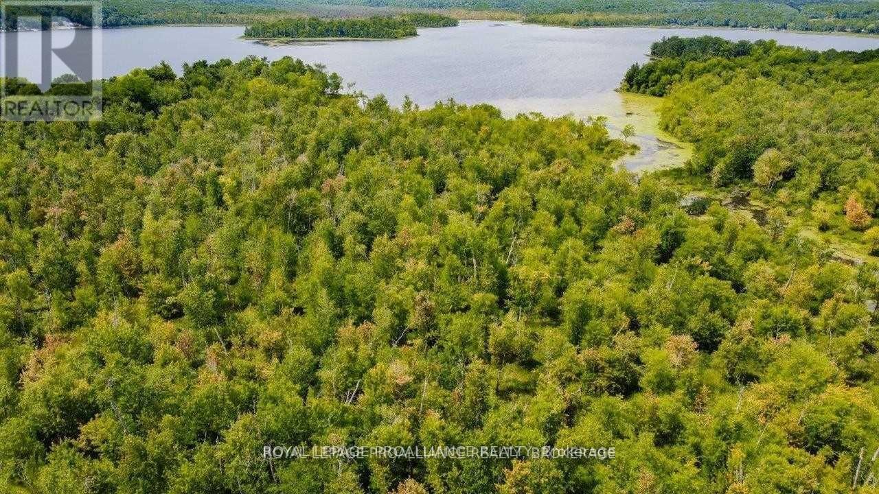 0 North Shore-Parcel C Lane, Centre Hastings, Ontario  K0K 2K0 - Photo 28 - X10417241