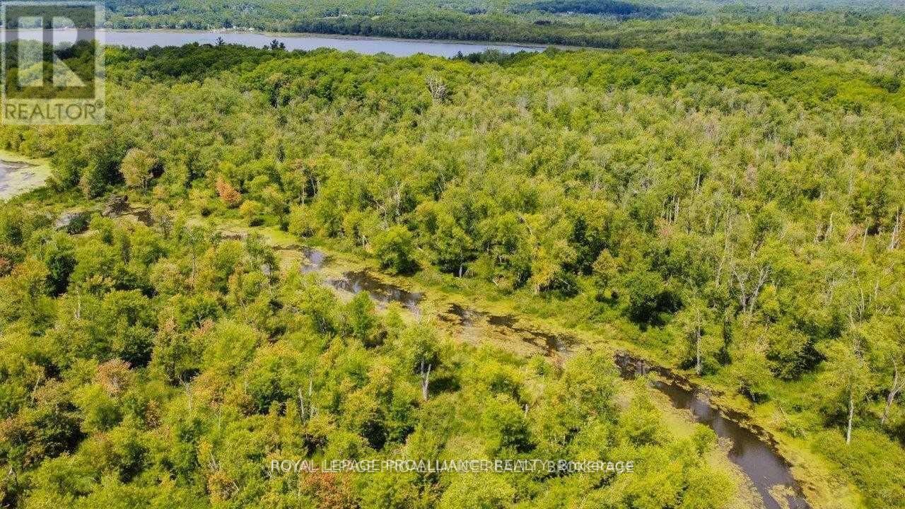 0 North Shore-Parcel C Lane, Centre Hastings, Ontario  K0K 2K0 - Photo 29 - X10417241