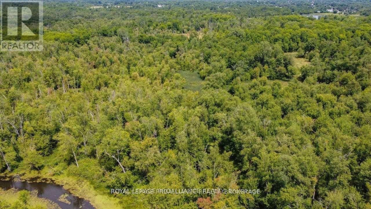 0 North Shore-Parcel C Lane, Centre Hastings, Ontario  K0K 2K0 - Photo 30 - X10417241