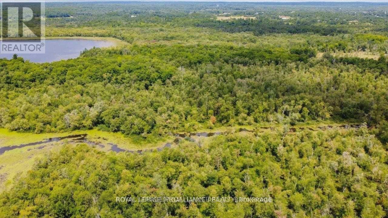 0 North Shore-Parcel C Lane, Centre Hastings, Ontario  K0K 2K0 - Photo 32 - X10417241
