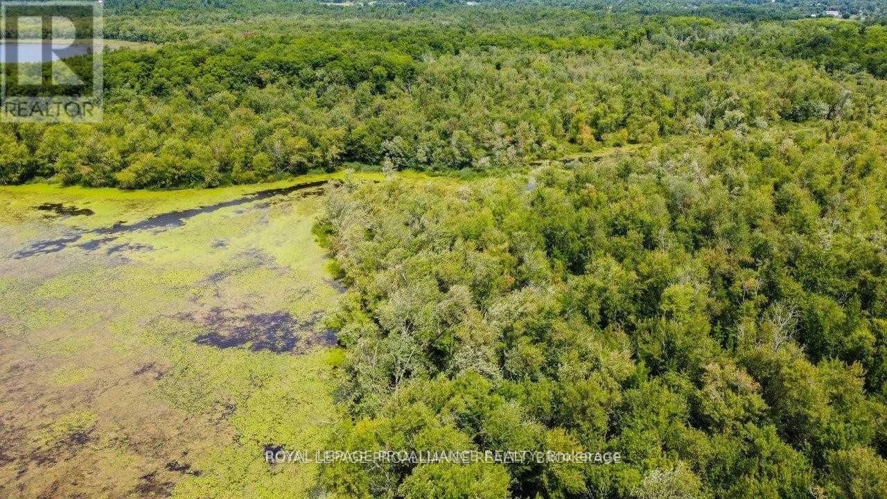0 North Shore-Parcel C Lane, Centre Hastings, Ontario  K0K 2K0 - Photo 33 - X10417241