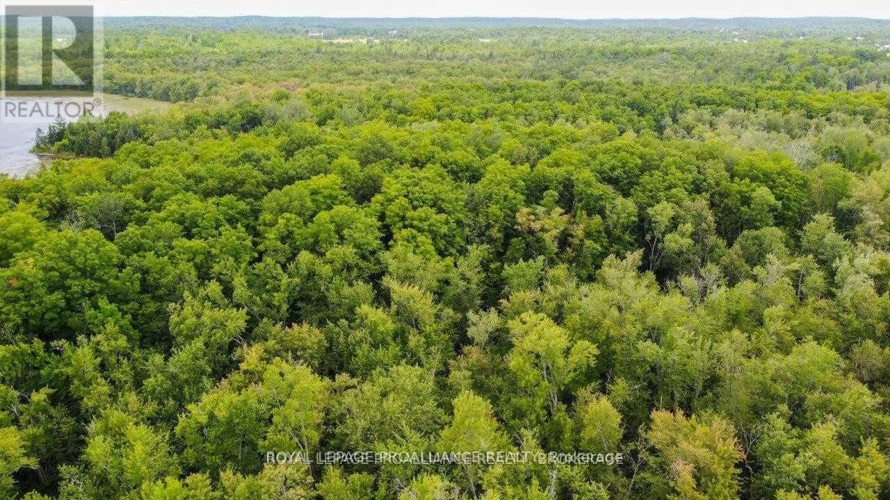 0 North Shore-Parcel C Lane, Centre Hastings, Ontario  K0K 2K0 - Photo 34 - X10417241