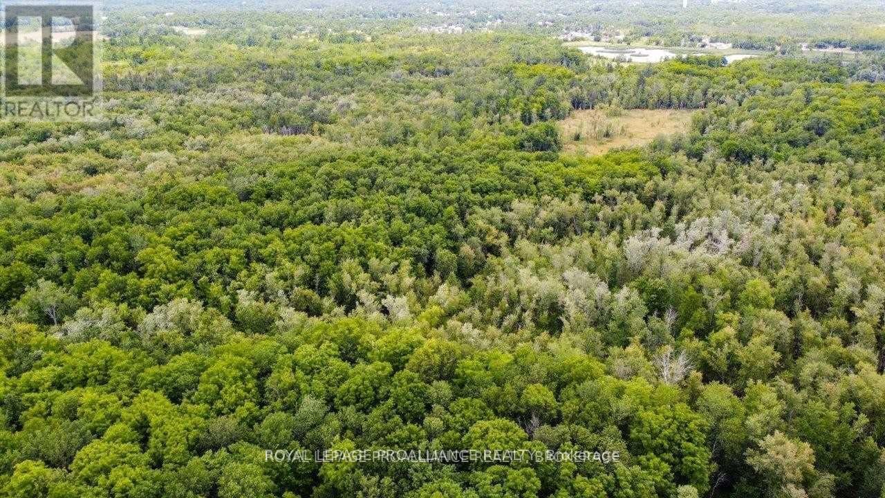 0 North Shore-Parcel C Lane, Centre Hastings, Ontario  K0K 2K0 - Photo 36 - X10417241