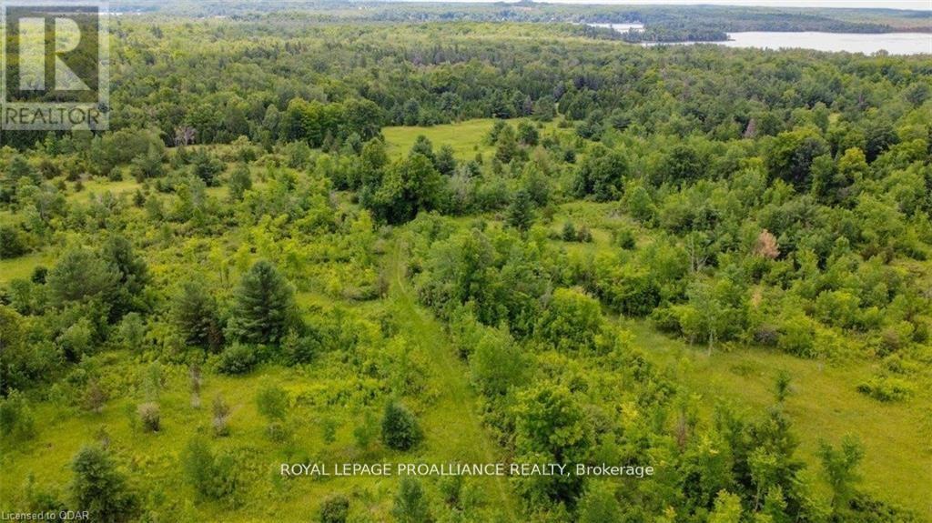 0 Old Marmora-Parcel A Road, Centre Hastings, Ontario  K0K 2K0 - Photo 14 - X10417367