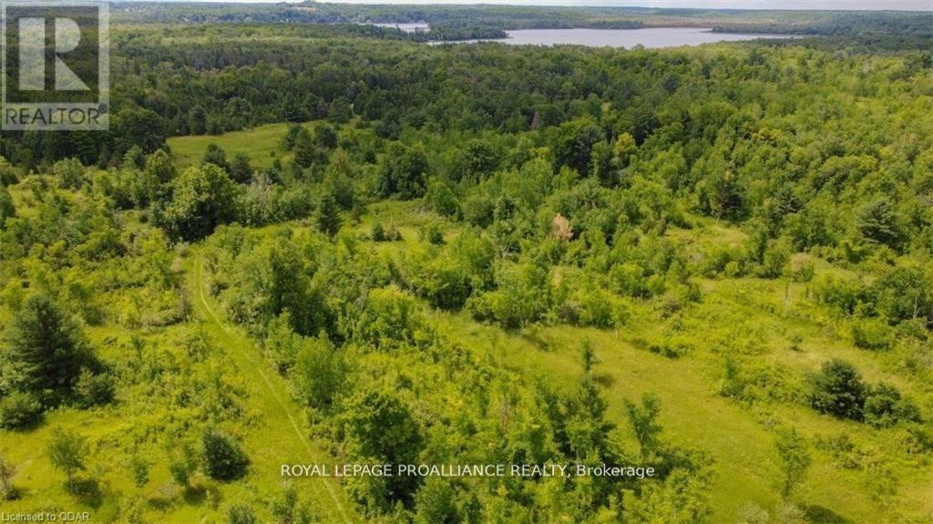 0 Old Marmora-Parcel A Road, Centre Hastings, Ontario  K0K 2K0 - Photo 16 - X10417367