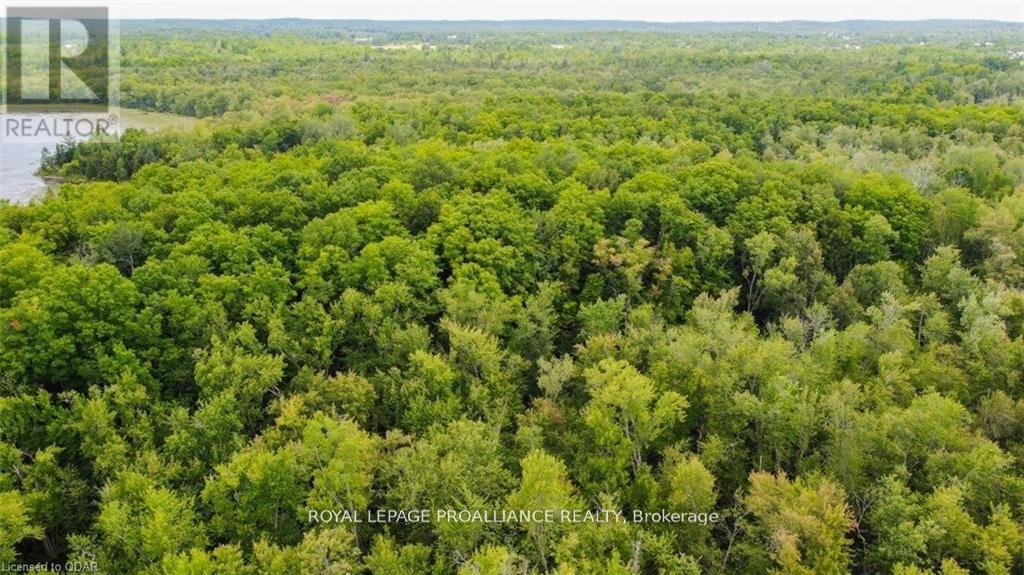 0 Old Marmora-Parcel A Road, Centre Hastings, Ontario  K0K 2K0 - Photo 24 - X10417367