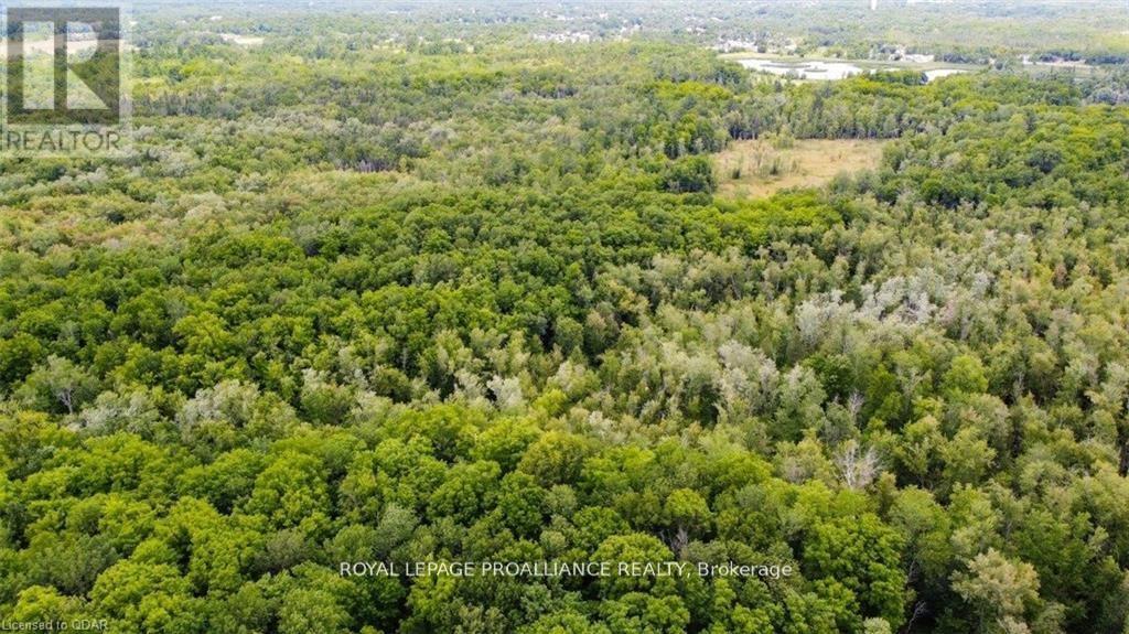0 Old Marmora-Parcel A Road, Centre Hastings, Ontario  K0K 2K0 - Photo 25 - X10417367