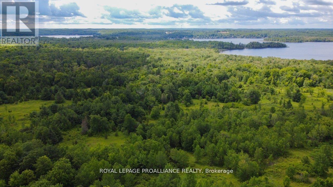 0 Old Marmora-Parcel A,c,d Road, Centre Hastings, Ontario  K0K 2K0 - Photo 10 - X10417650