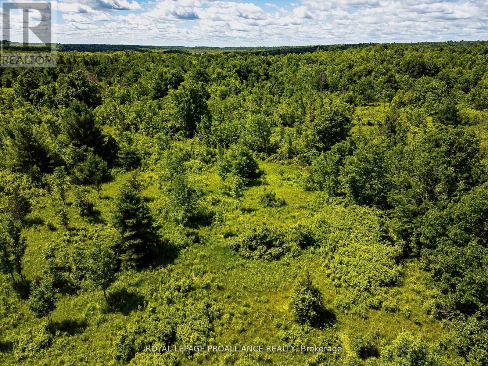 0 Old Marmora-Parcel A,c,d Road, Centre Hastings, Ontario  K0K 2K0 - Photo 11 - X10417650