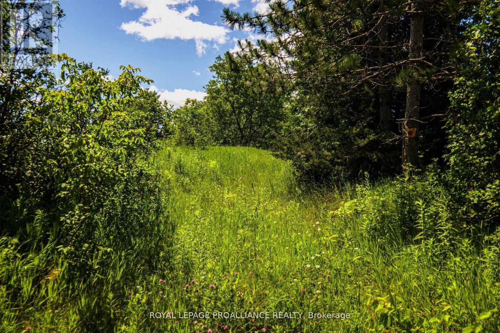 0 Old Marmora-Parcel A,c,d Road, Centre Hastings, Ontario  K0K 2K0 - Photo 12 - X10417650