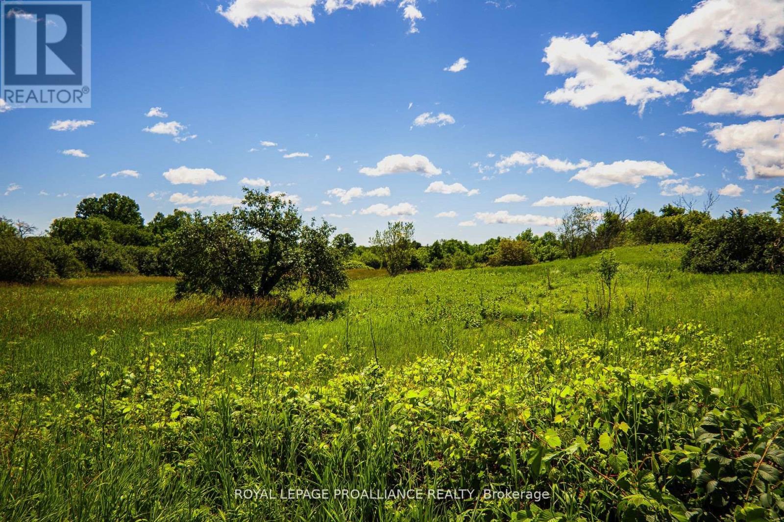 0 Old Marmora-Parcel A,c,d Road, Centre Hastings, Ontario  K0K 2K0 - Photo 13 - X10417650
