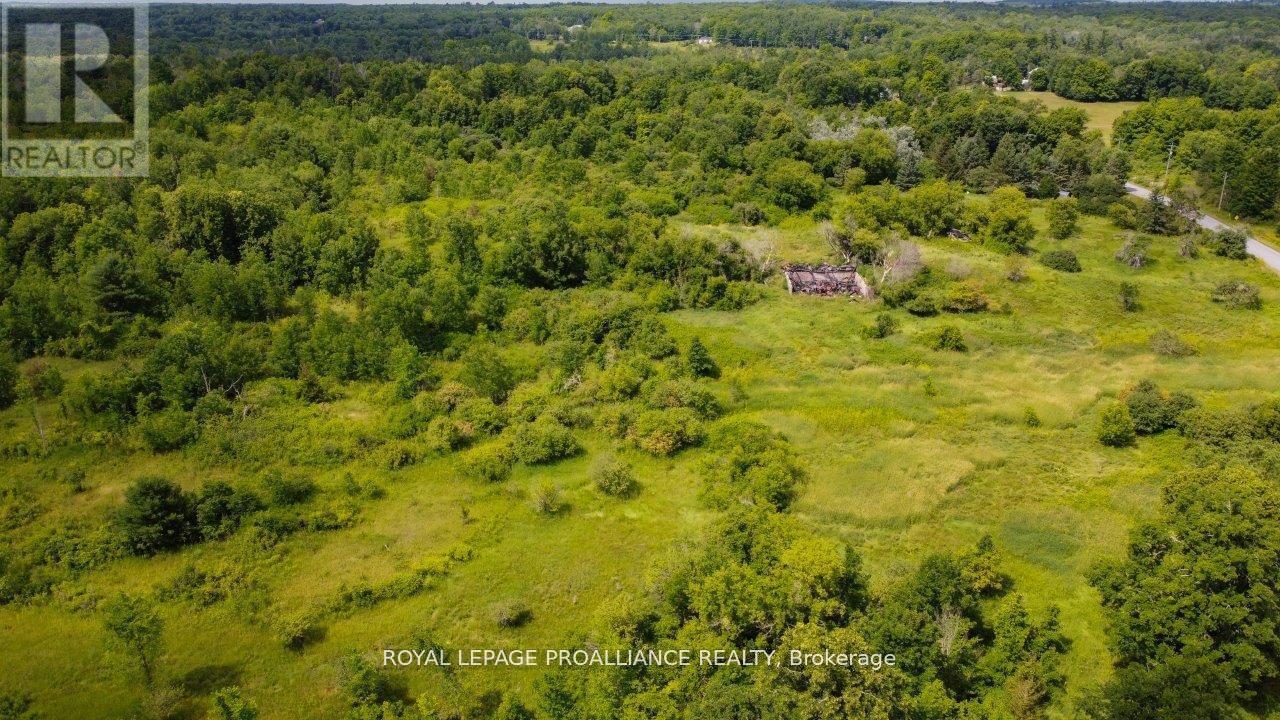 0 Old Marmora-Parcel A,c,d Road, Centre Hastings, Ontario  K0K 2K0 - Photo 15 - X10417650