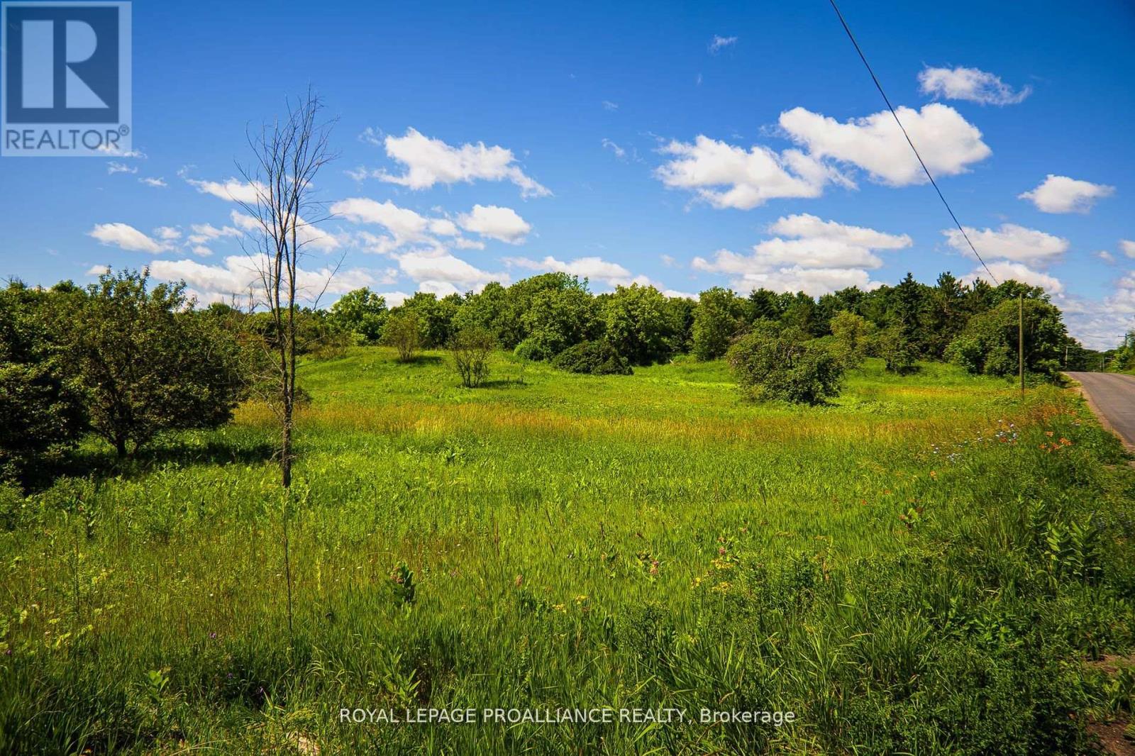 0 Old Marmora-Parcel A,c,d Road, Centre Hastings, Ontario  K0K 2K0 - Photo 16 - X10417650