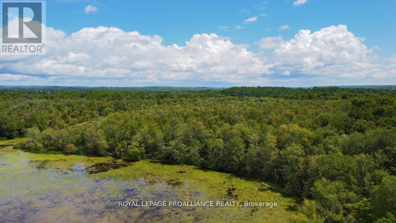 0 Old Marmora-Parcel A,c,d Road, Centre Hastings, Ontario  K0K 2K0 - Photo 22 - X10417650