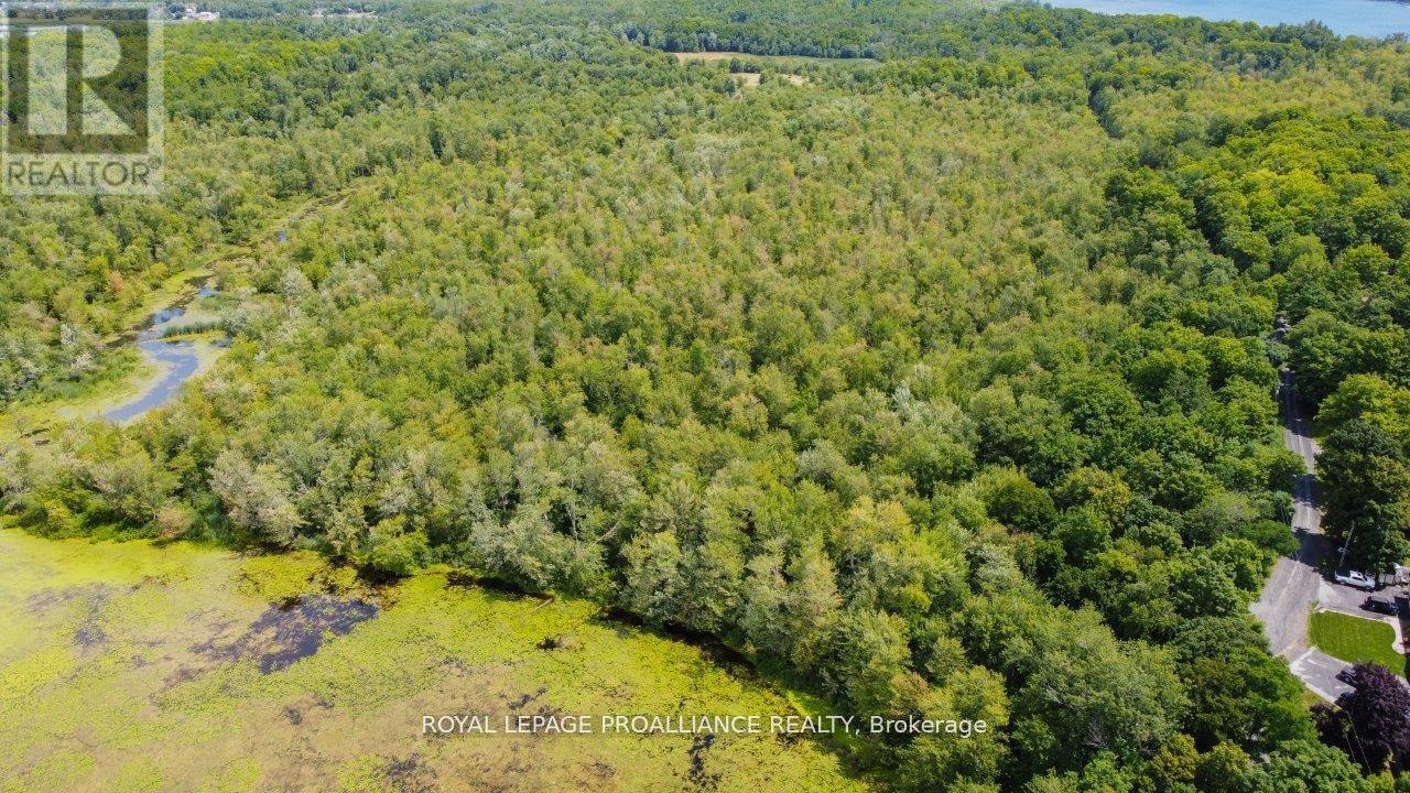 0 Old Marmora-Parcel A,c,d Road, Centre Hastings, Ontario  K0K 2K0 - Photo 23 - X10417650