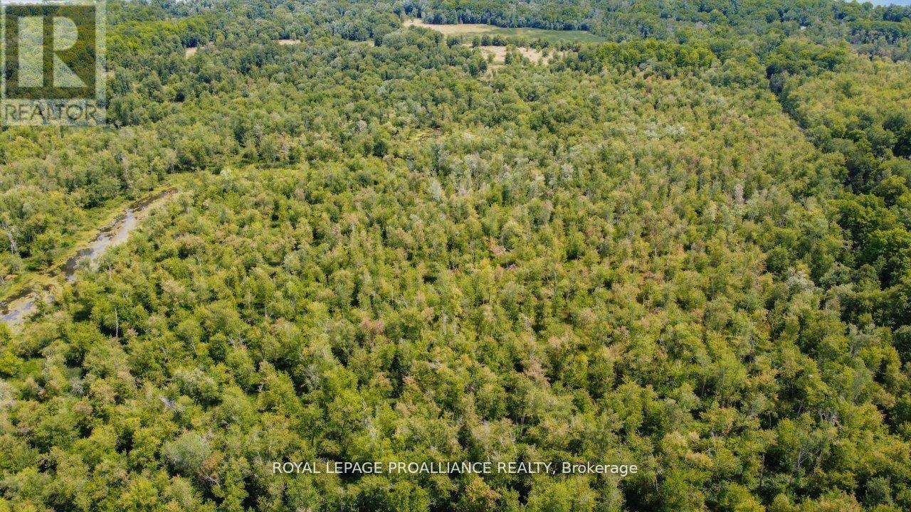 0 Old Marmora-Parcel A,c,d Road, Centre Hastings, Ontario  K0K 2K0 - Photo 25 - X10417650