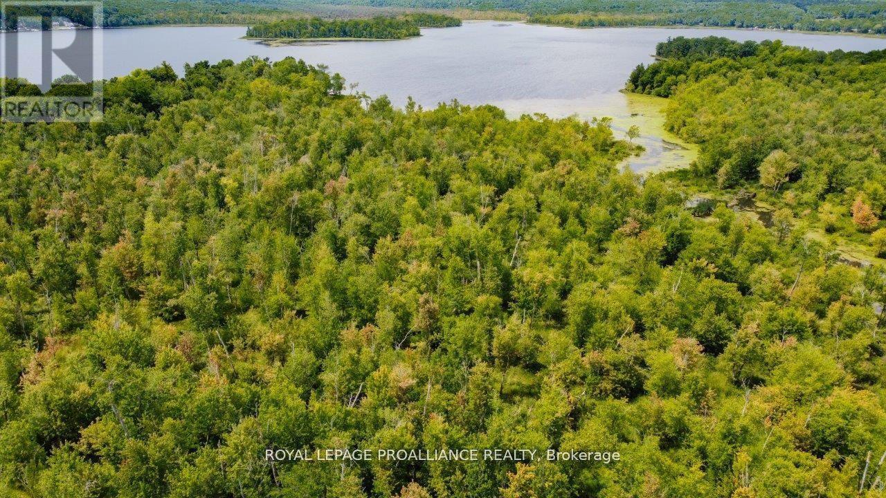 0 Old Marmora-Parcel A,c,d Road, Centre Hastings, Ontario  K0K 2K0 - Photo 28 - X10417650