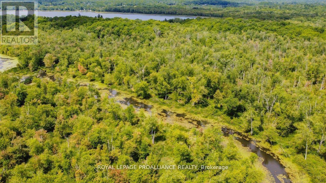 0 Old Marmora-Parcel A,c,d Road, Centre Hastings, Ontario  K0K 2K0 - Photo 29 - X10417650