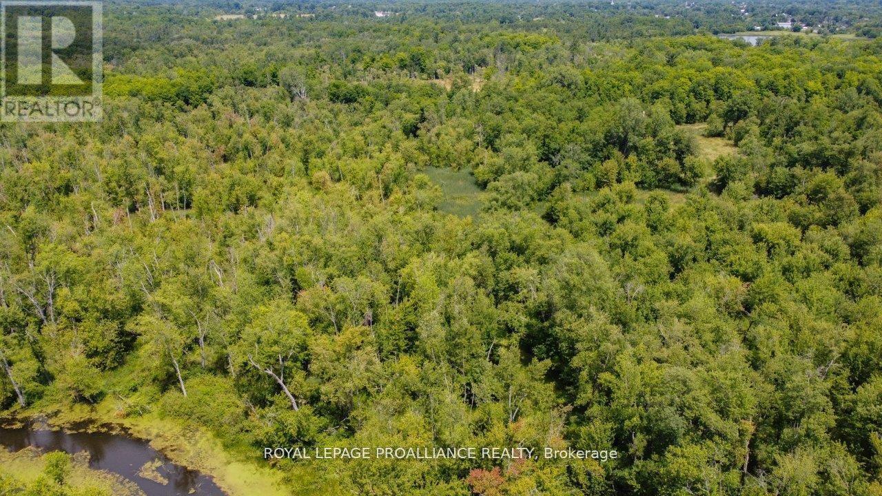 0 Old Marmora-Parcel A,c,d Road, Centre Hastings, Ontario  K0K 2K0 - Photo 30 - X10417650