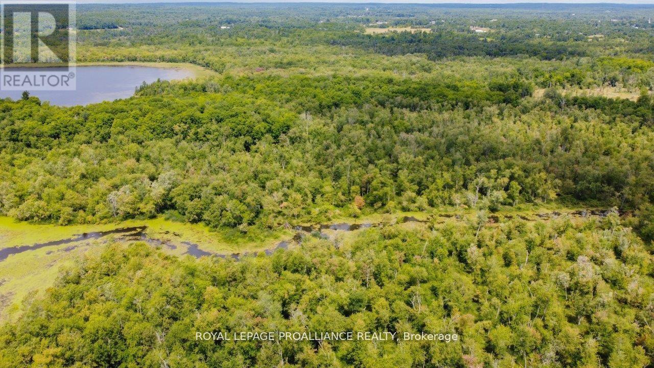 0 Old Marmora-Parcel A,c,d Road, Centre Hastings, Ontario  K0K 2K0 - Photo 32 - X10417650