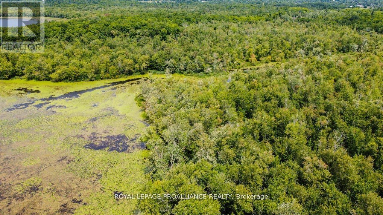 0 Old Marmora-Parcel A,c,d Road, Centre Hastings, Ontario  K0K 2K0 - Photo 33 - X10417650