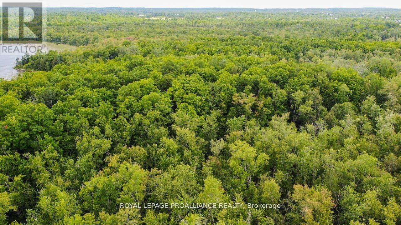 0 Old Marmora-Parcel A,c,d Road, Centre Hastings, Ontario  K0K 2K0 - Photo 34 - X10417650