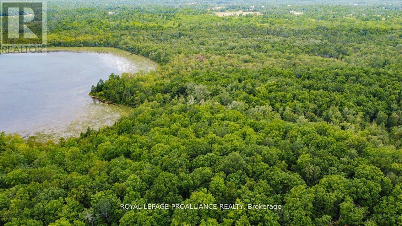 0 Old Marmora-Parcel A,c,d Road, Centre Hastings, Ontario  K0K 2K0 - Photo 35 - X10417650