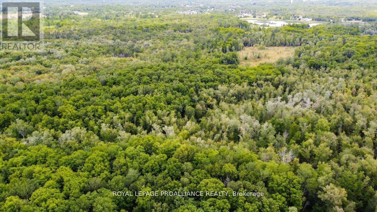 0 Old Marmora-Parcel A,c,d Road, Centre Hastings, Ontario  K0K 2K0 - Photo 36 - X10417650