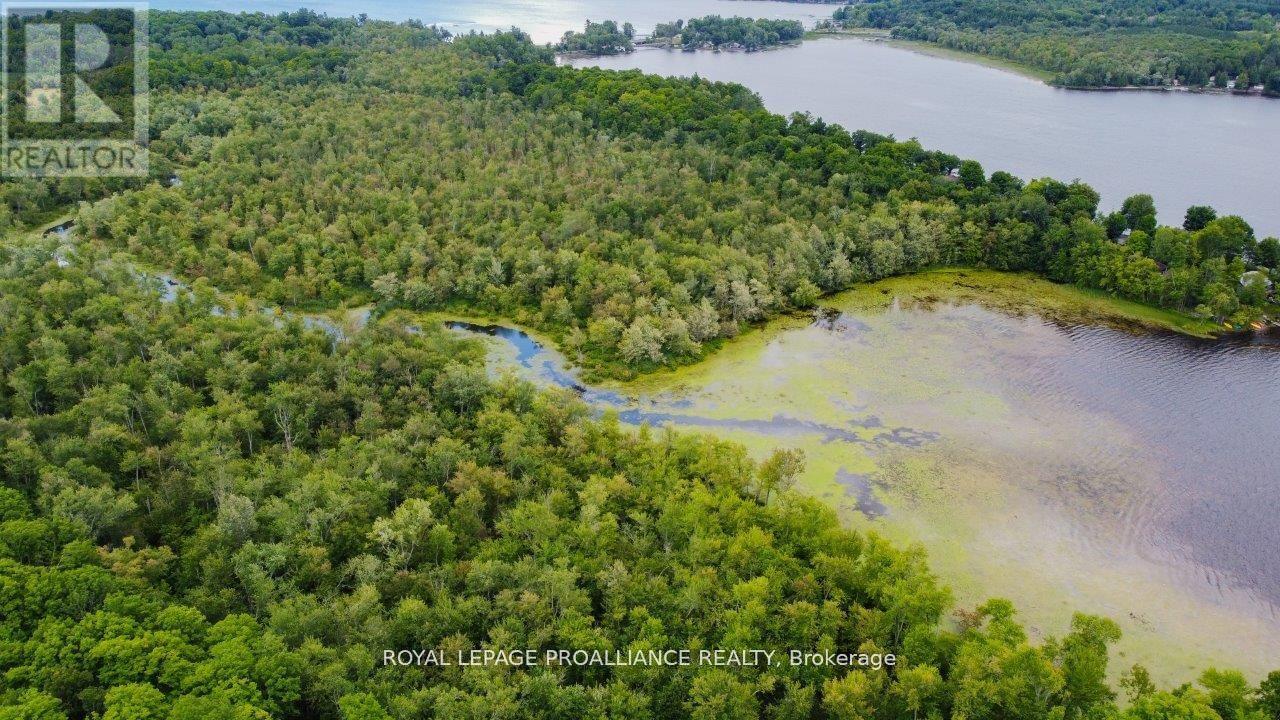 0 Old Marmora-Parcel A,c,d Road, Centre Hastings, Ontario  K0K 2K0 - Photo 37 - X10417650