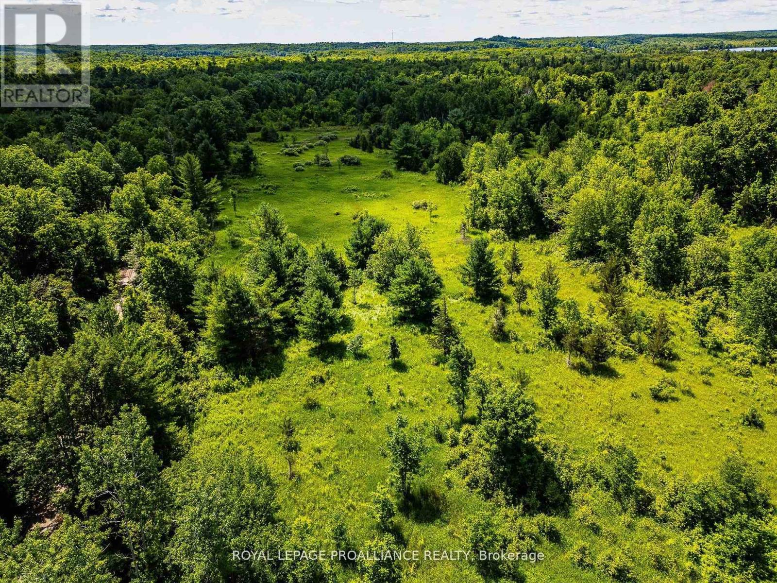 0 Old Marmora-Parcel A,c,d Road, Centre Hastings, Ontario  K0K 2K0 - Photo 6 - X10417650