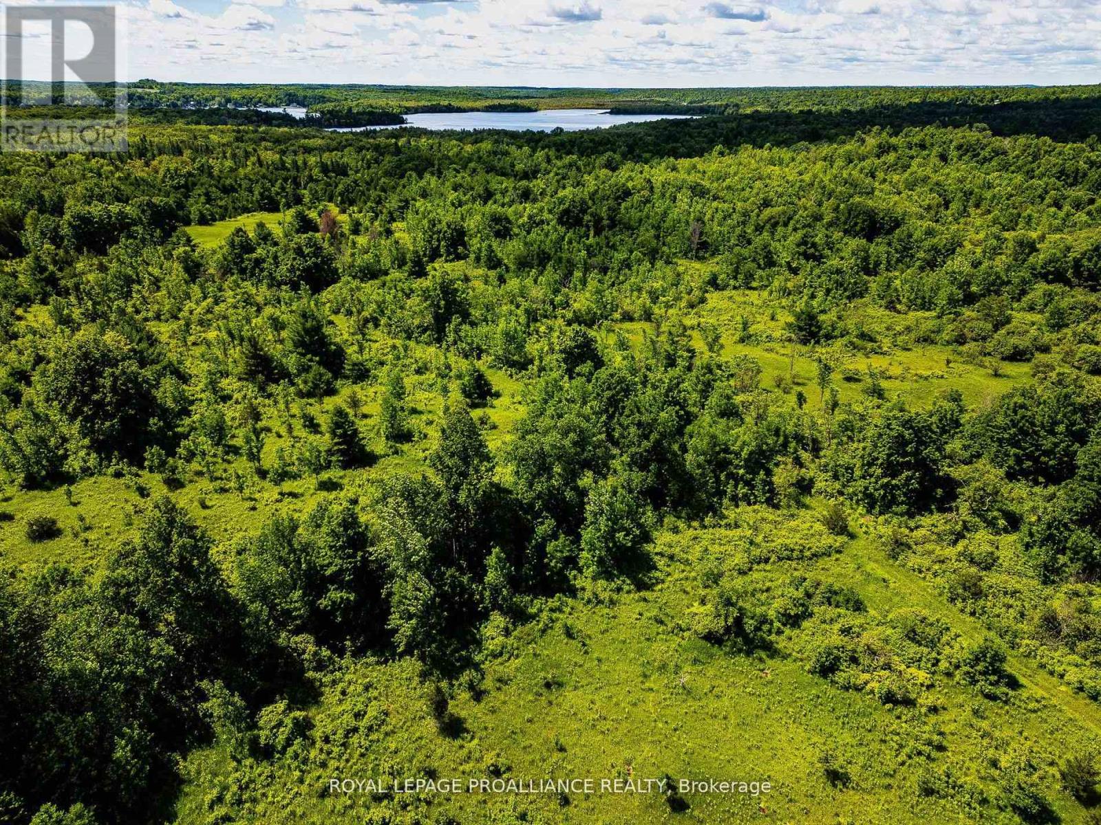 0 Old Marmora-Parcel A,c,d Road, Centre Hastings, Ontario  K0K 2K0 - Photo 8 - X10417650