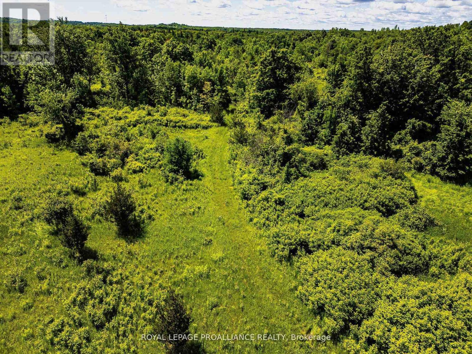 0 Old Marmora-Parcel A,c,d Road, Centre Hastings, Ontario  K0K 2K0 - Photo 9 - X10417650