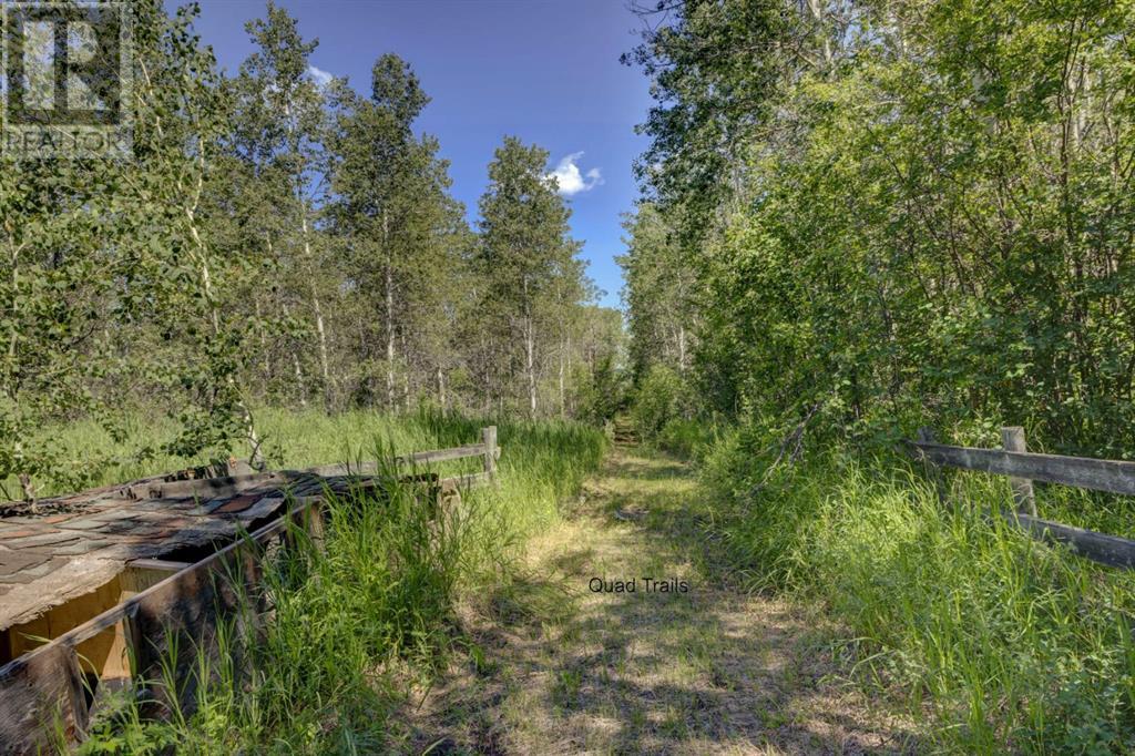 40094 306 Avenue E, Rural Foothills County, Alberta  T1S 4R3 - Photo 41 - A2171731