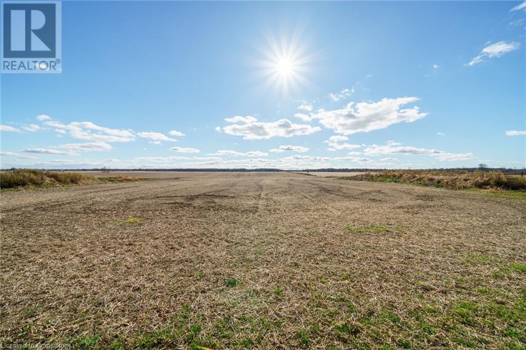 9230 South Chippawa Road, Canfield, Ontario  N0A 1C0 - Photo 35 - 40675529