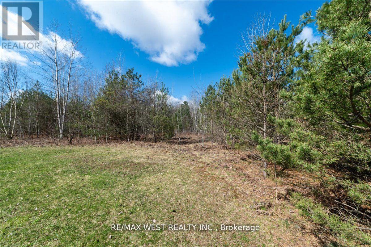 4 - 8450 Concession Road, Adjala-Tosorontio, Ontario  L0M 1N0 - Photo 39 - N10417790