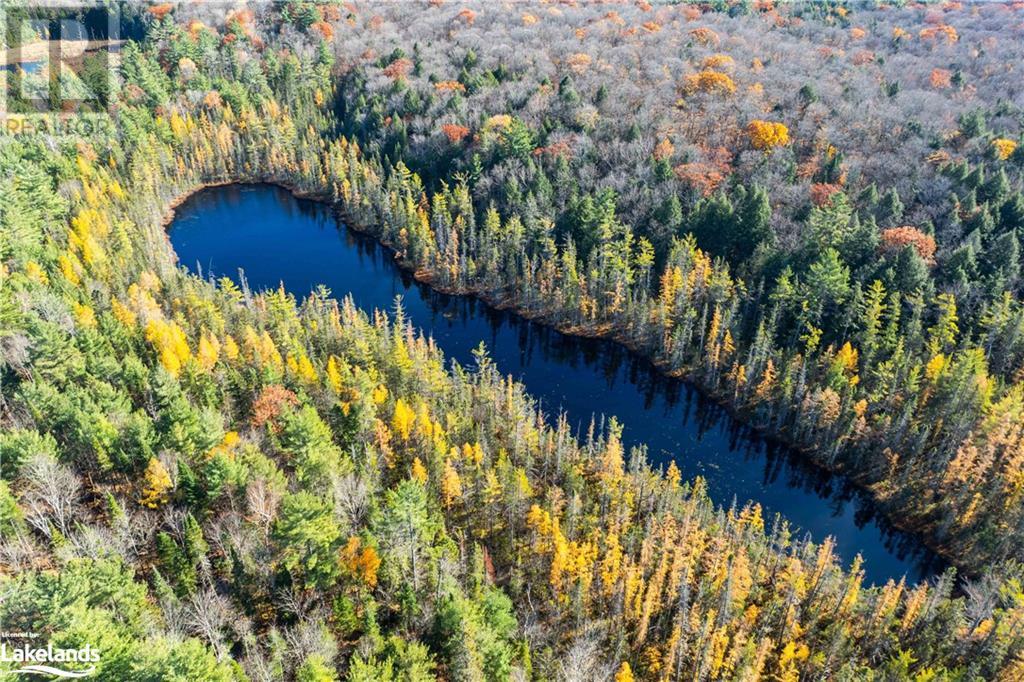 0 Fairy Falls Road, Lake Of Bays, Ontario  P0B 1A0 - Photo 14 - 40676042