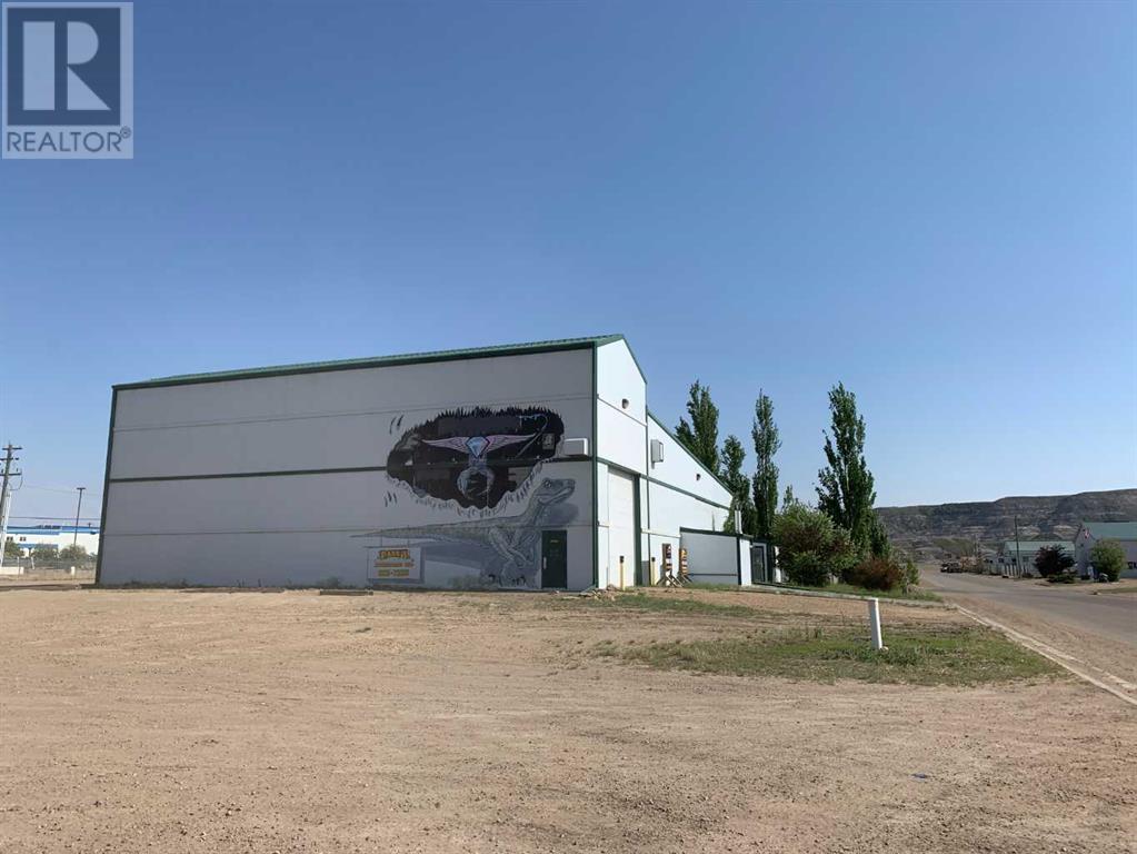 502 9 Street Se, Drumheller, Alberta  T0J 0Y0 - Photo 8 - A2176956