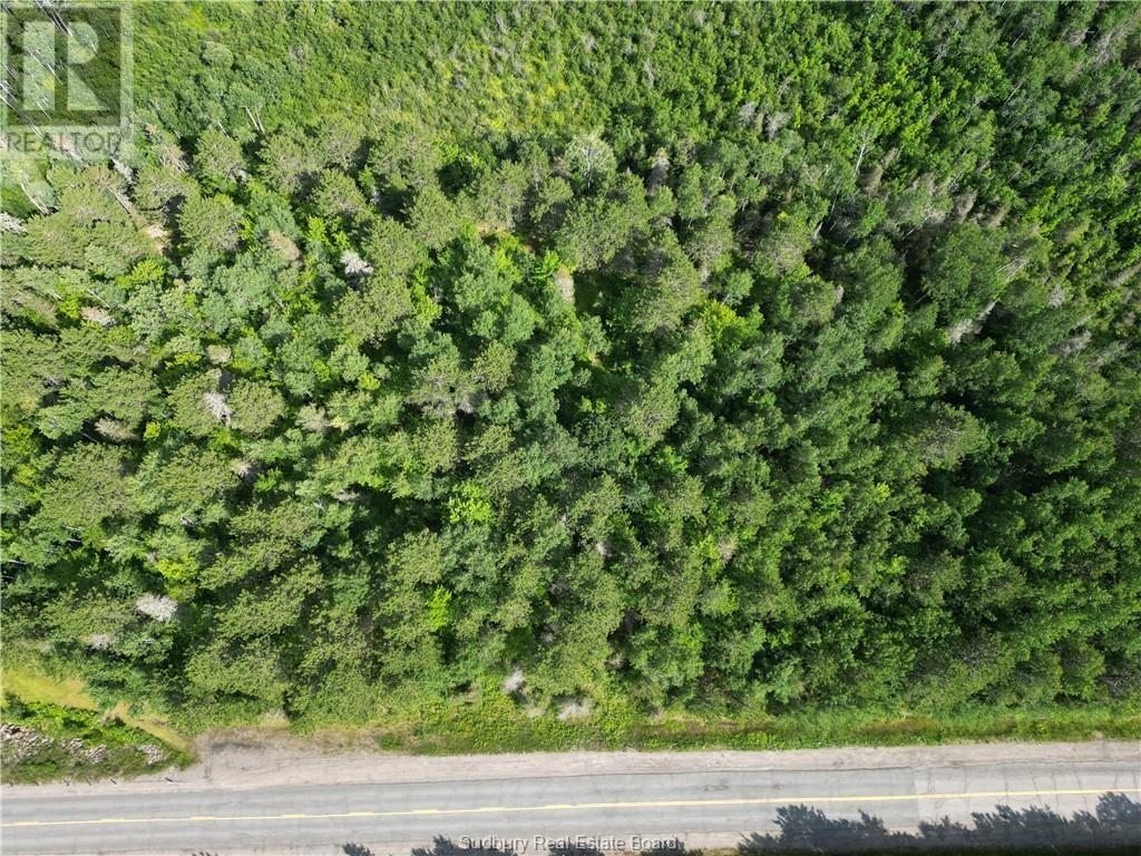 Lot 0 Regional Road 10, Greater Sudbury, Ontario  P0M 3E0 - Photo 10 - 2119884
