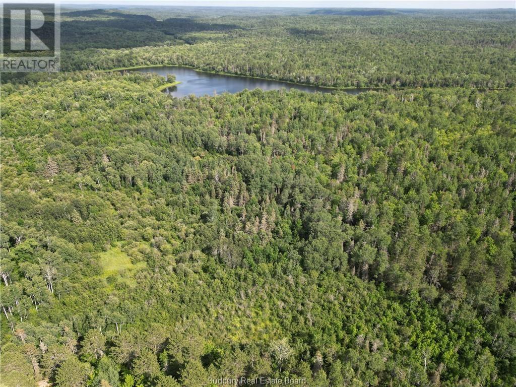 Lot 0 Regional Road 10, Greater Sudbury, Ontario  P0M 3E0 - Photo 11 - 2119884