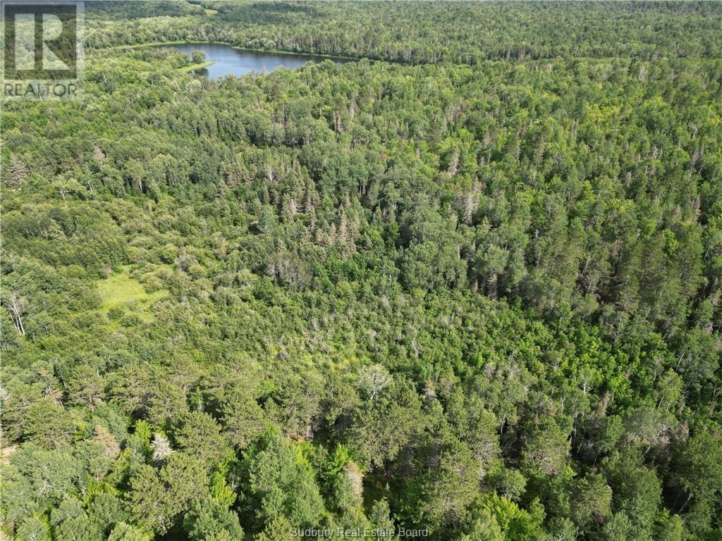 Lot 0 Regional Road 10, Greater Sudbury, Ontario  P0M 3E0 - Photo 13 - 2119884