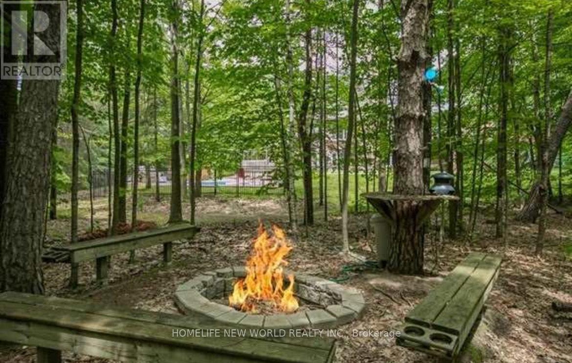 1 - 18 Loggers Trail, Whitchurch-Stouffville, Ontario  L3Y 4W1 - Photo 2 - N10418995