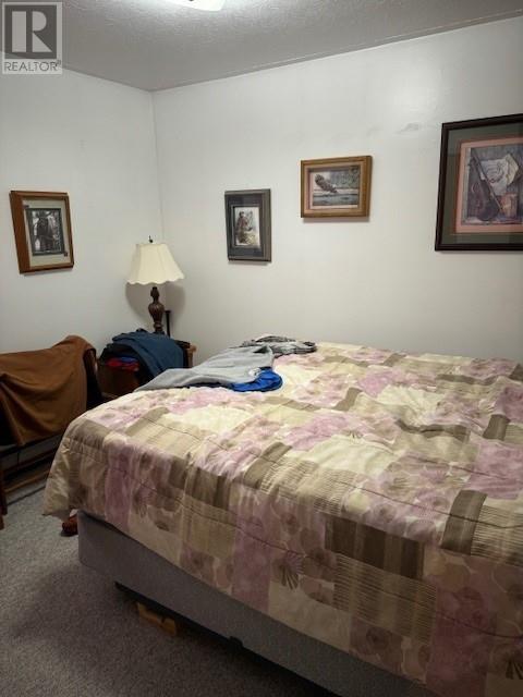 246 Cambridge Avenue, Iroquois Falls, Ontario  P0K 1E0 - Photo 15 - 2119864