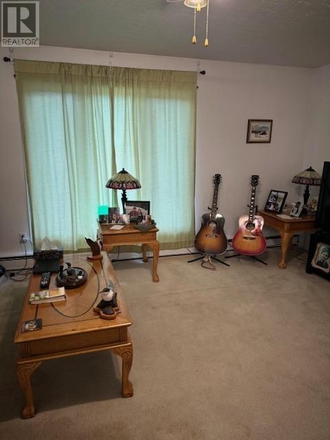 246 Cambridge Avenue, Iroquois Falls, Ontario  P0K 1E0 - Photo 5 - 2119864