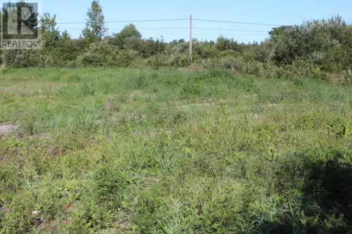 Lot 50 Woodward Ave, Blind River, Ontario  P0R 1B0 - Photo 9 - SM240516